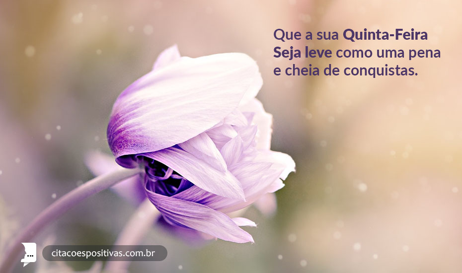 Que a sua quinta-feira seja leve como uma pena e cheia de conquistas. Que a sua quinta-feira seja leve como uma pena e cheia de conquistas.