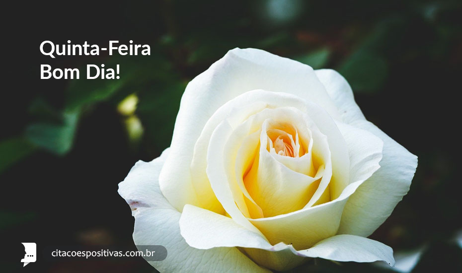 Quinta-Feira Bom Dia Quinta-Feira Bom Dia